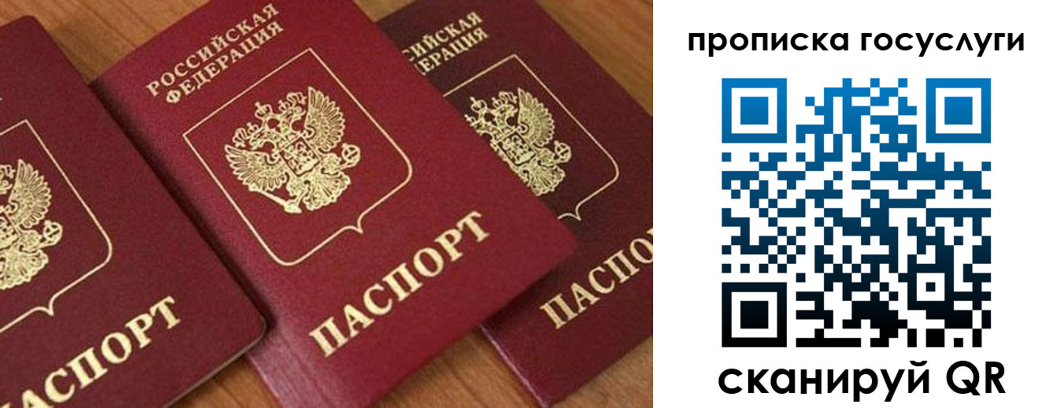 временная прописка в Обояни
